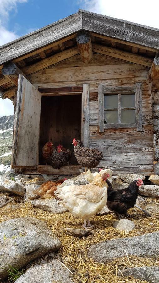 Eberl'S Zirbenlodge Ginzling Exterior foto